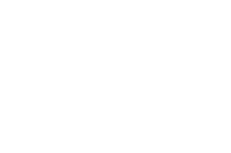 American River Restoration